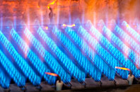 Llidiart Y Parc gas fired boilers
